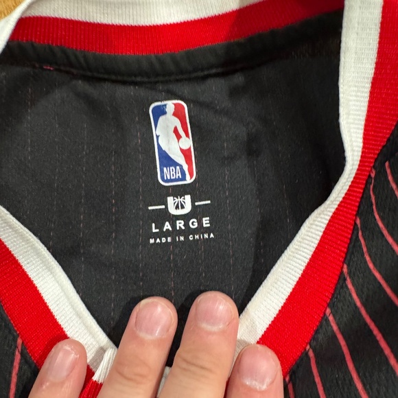 Vintage NBA Chicago Bulls #66 pullover Jersey Pinstripe Mens Large L by U - Picture 3 of 5